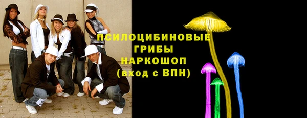 хмурый Богородск