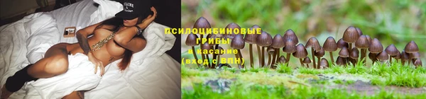 амфетамин Богородицк