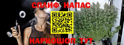 прущие грибы Мариинск