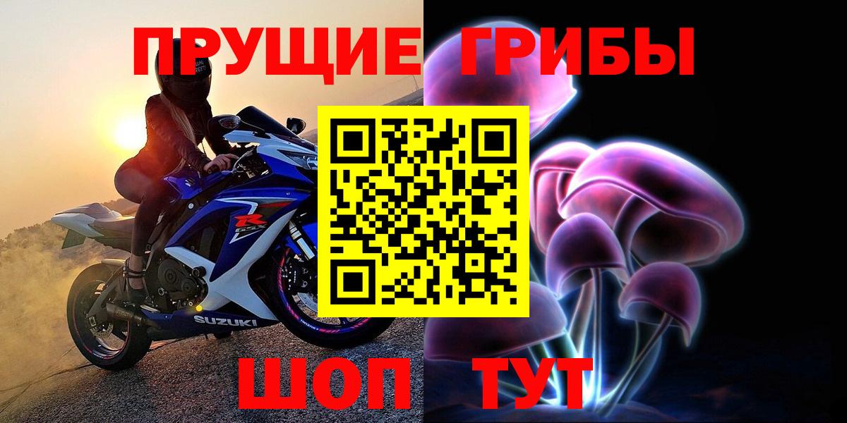 Псилоцибиновые грибы мухоморы  Вход с VPN  где купить наркоту  Галлюциногенные грибы Cubensis  Северск 