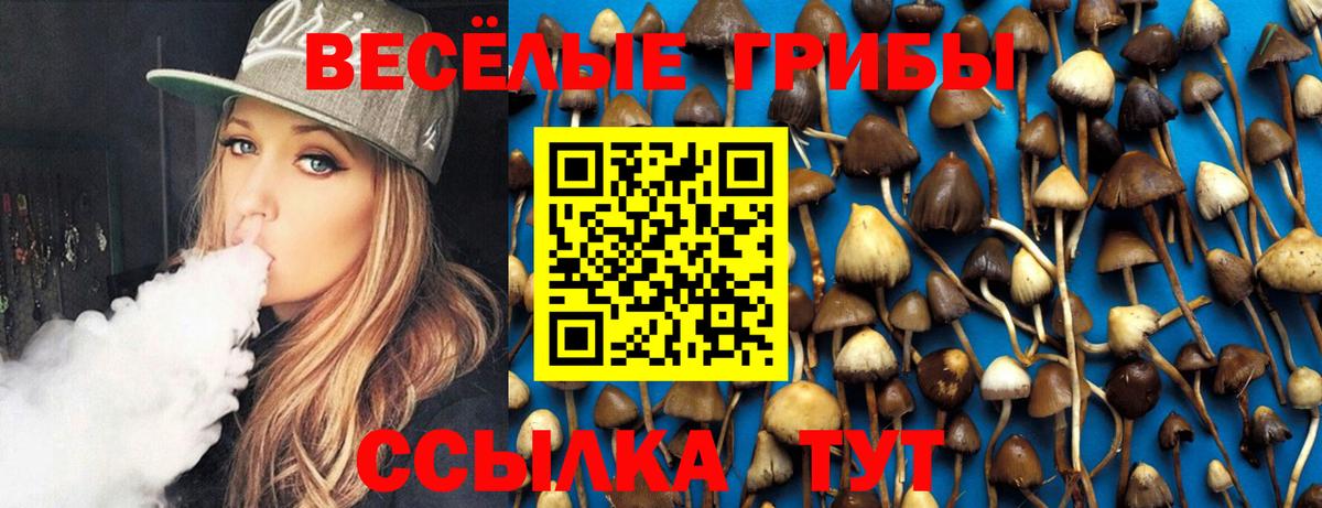 Галлюциногенные грибы мицелий Северск
