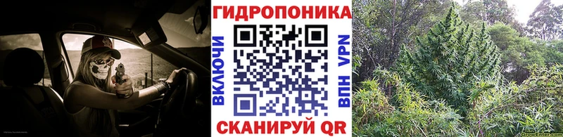 МАРИХУАНА Ganja Северск